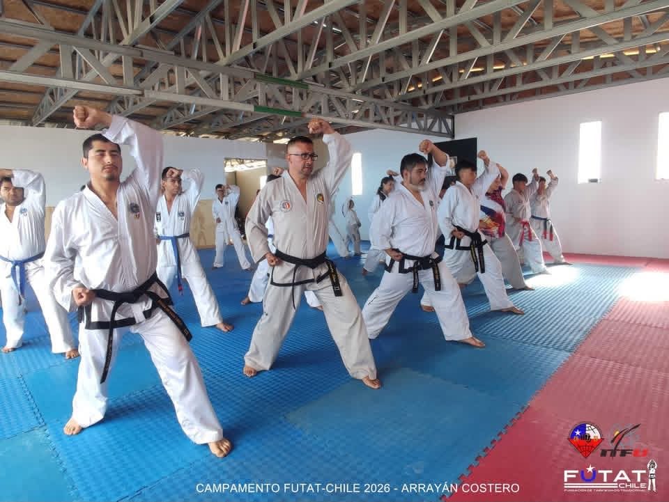 Entrenamiento de formas (tul) de alumnos adultos en un campamento de Taekwon-Do